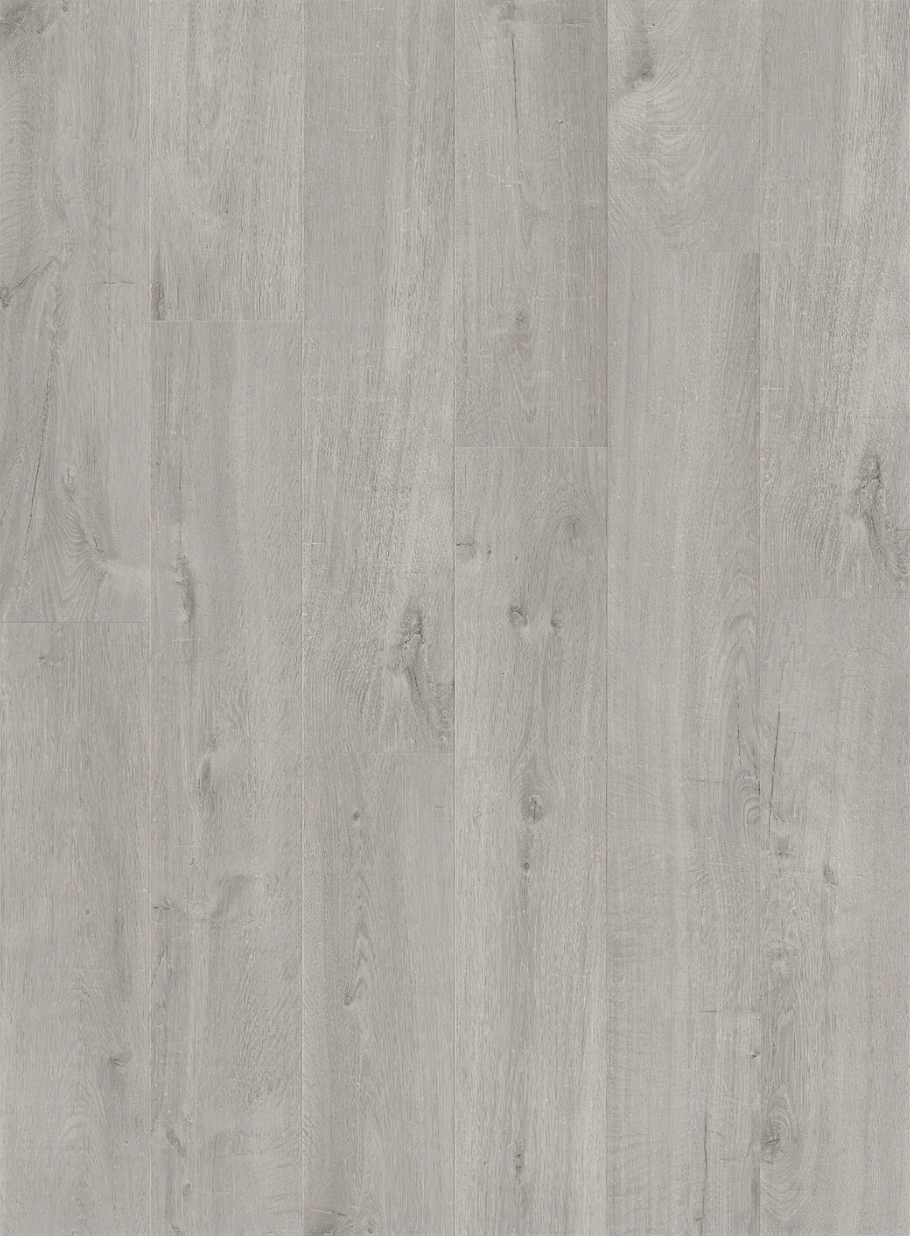 Alpha Bloom - Cotton Oak Cold Grey