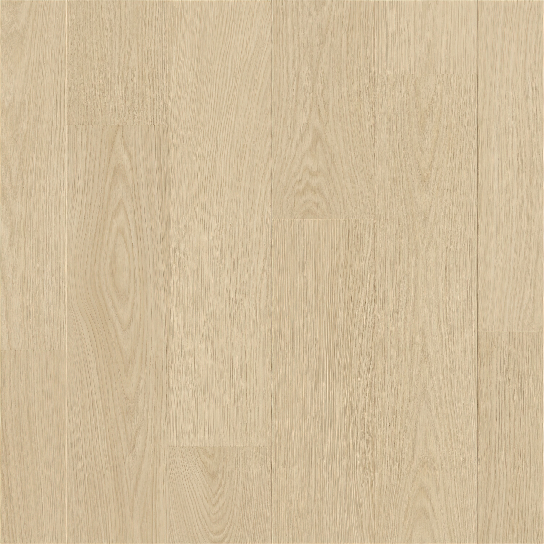 Alpha Blos - Buttermilk Oak